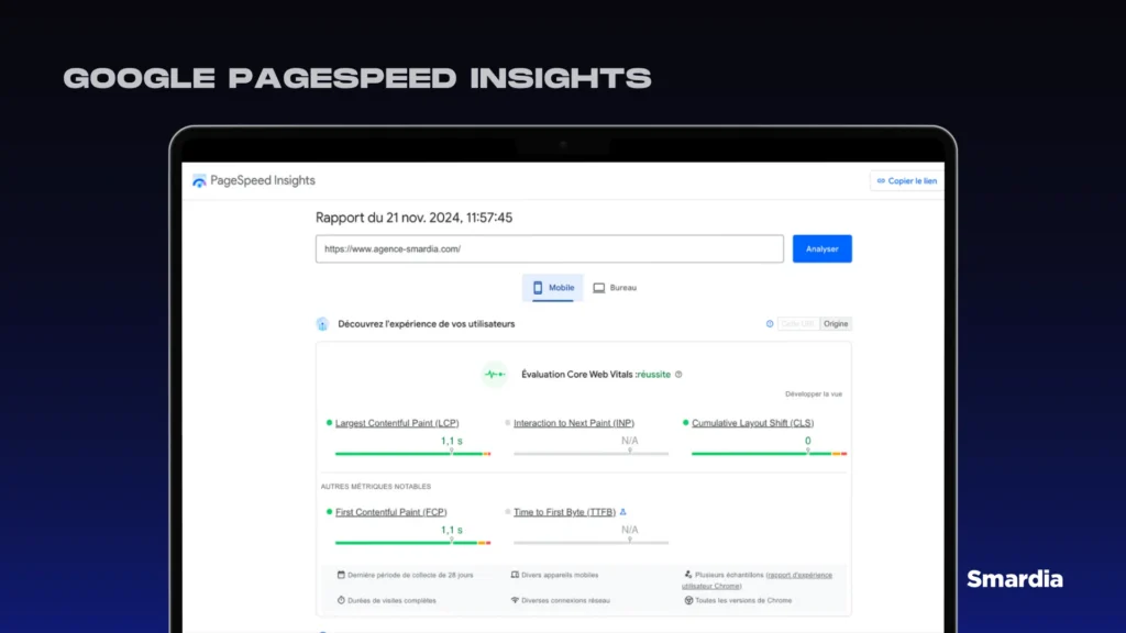 Capture d'écran de la page PageSpeed Insight.